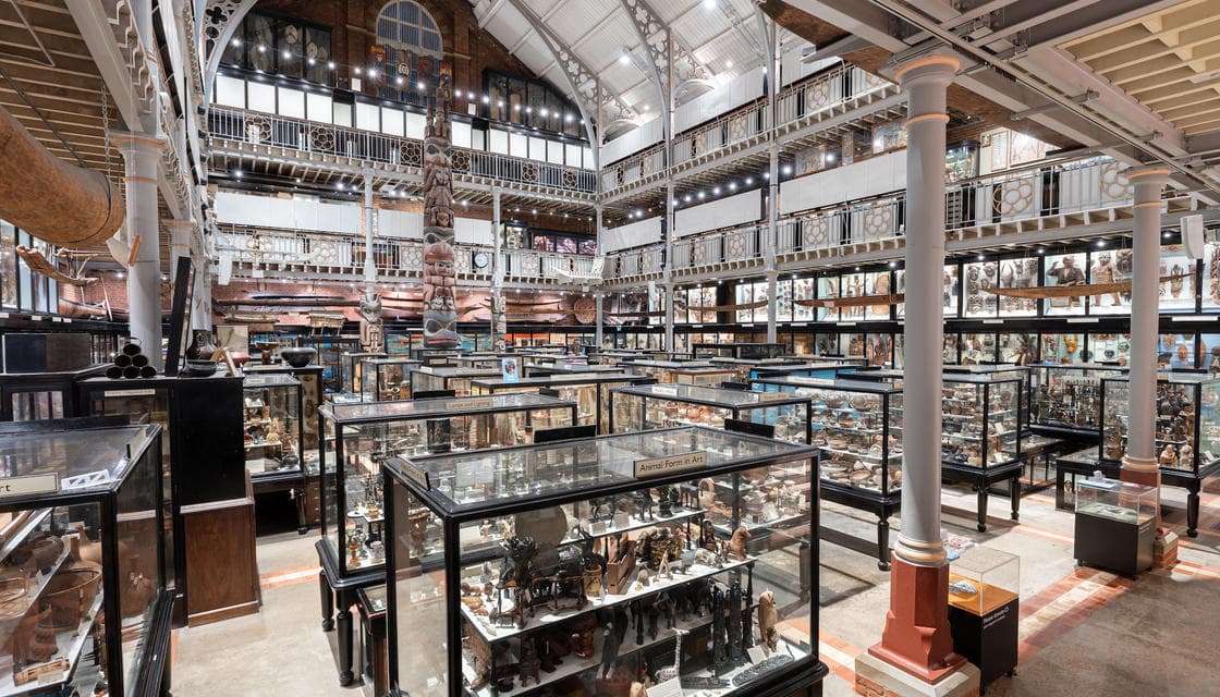The Pitt Rivers Museum court, filled with display cases